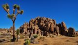 Desert Rock Pile