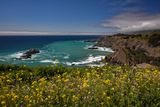 Spring Along the North Coast