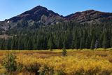 First Autumn Colors of the Sierra