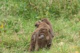 Lake Nakuru PB-108_01.JPG