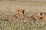 Lake Nakuru PB-31_01.JPG