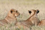 Lake Nakuru PB-32-studio_01.JPG