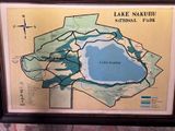 Lake Nakuru PB-56_01.JPG