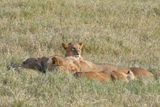 Lake Nakuru PB-85_01.JPG