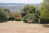 Aberdare NP-9.jpg