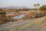 Shaba Buffalo Springs-105.jpg