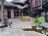 Shaba Buffalo Springs-116.jpg