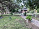 Shaba Buffalo Springs-48.jpg