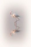 Amboseli Paint-26-studio.jpg