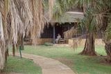 Amboseli-100.jpg