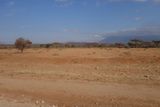 Amboseli-125.jpg