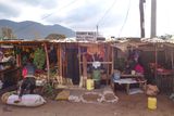 Amboseli-130.jpg