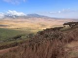 Serengeti -120.jpg