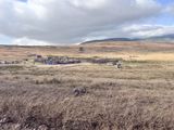 Serengeti -121.jpg
