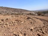 Serengeti -122.jpg