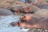 Serengeti -27.jpg