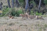 Serengeti -78.jpg