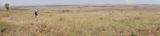 Masai Mara-35.jpg