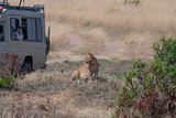 Masai Mara-47.jpg