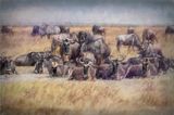 Ngorongoro Paint-11-studio.jpg