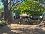 Costa Rica Feb 2025-27.jpg