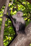 Costa Rica Feb 2025-50.jpg