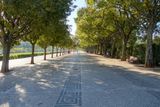 Batalha Lisbon Sept 2024-21.jpg