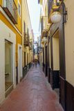 Seville Oct 2024-36.jpg