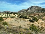 Ronda Costa Del Sol Oct 2024-37.jpg