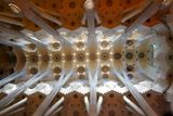 Barcelona Oct 2024-71.jpg