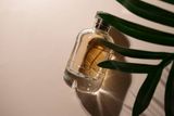 Explore Designer Perfumes and also Niche Fragrance Collections