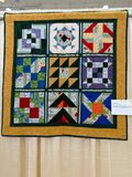 Quilt 235 by Pat Fraser - Summer Camp