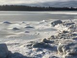 IMG_2502.jpeg