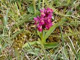 Taken at Gsslunda, land. 