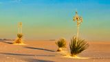 IMG_4057.jpeg