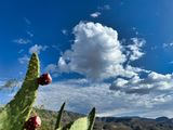IMG_4058.jpeg