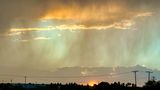 IMG_4175.jpeg