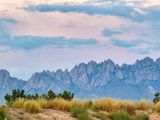 IMG_4181.jpeg