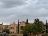 IMG_4184.jpeg