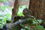 IMG_1363p.jpg