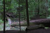 IMG_2107p.jpg