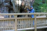 IMG_2083p.jpg