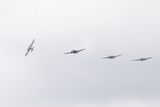 HH7A3854_2160.jpg