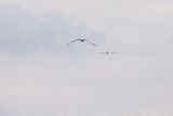 HH7A6015_2160.jpg