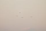 HH7A9433_2160.jpg