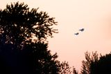 HH7A1050_2160.jpg