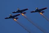 HH7A1482_2160.jpg