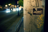 IMG_4613_xp.jpg