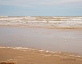 IMG_8294.jpg