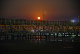 IMG_0993.jpg